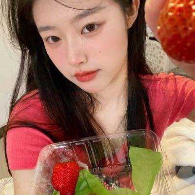 去吧阿古兽破解版下载